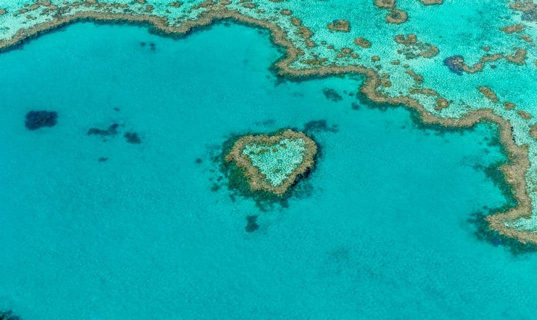 Coral gardens on the outer reef Coral gardens of the outer Great Barrier Reef from above, dark reef shapes scattered across bright turquoise shallows.