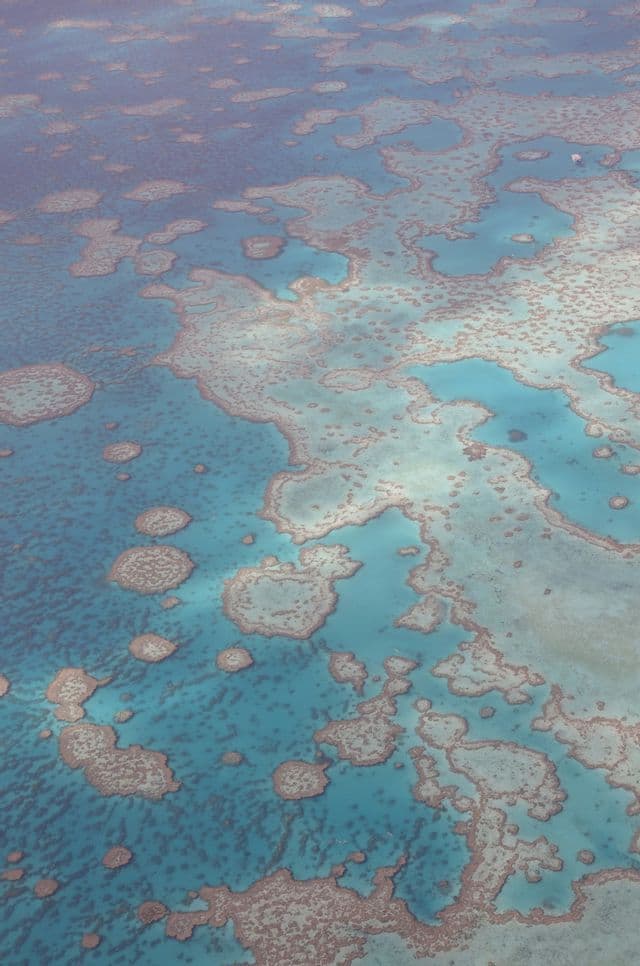 The Great Barrier Reef from the air Coral formations of the Great Barrier Reef seen from above, pale rings set in clear turquoise water.