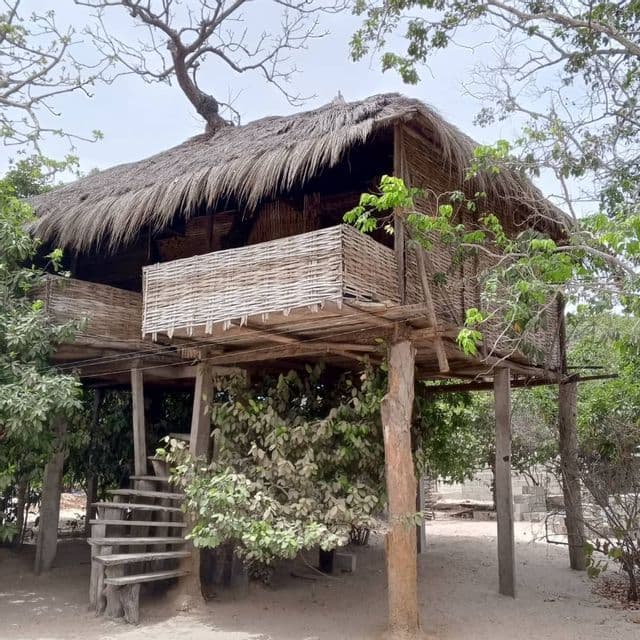 Una casa de madera sobre pilotes con techo de paja y paredes tejidas se encuentra entre árboles verdes, con una escalera que sube.