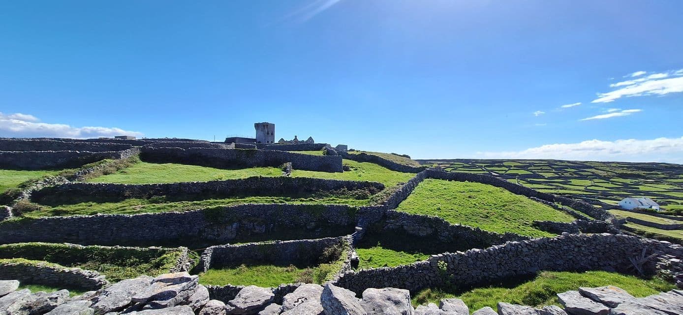Un vaste paysage de collines verdoyantes et ondulantes divisé par de nombreux murs en pierre, avec une ruine de tour en pierre sur une colline sous un ciel bleu clair.