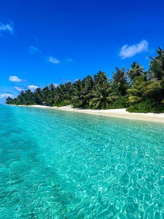 Una spiaggia di sabbia bianca, orlata da palme, confina con acque oceaniche limpide e turchesi sotto un cielo azzurro e luminoso.