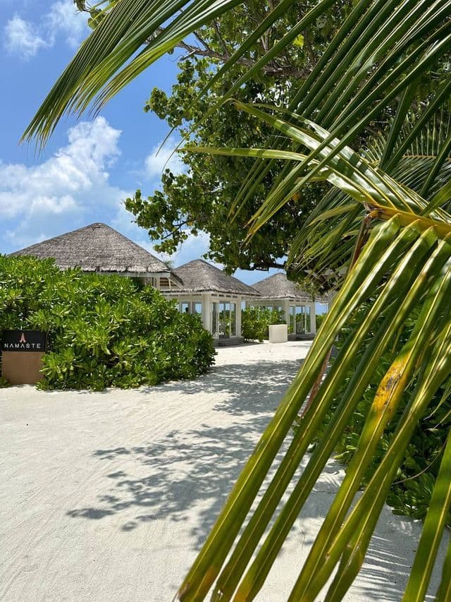 Un sentiero sabbioso conduce a edifici con tetti di paglia circondati da una vegetazione lussureggiante, con una grande foglia di palma in primo piano.