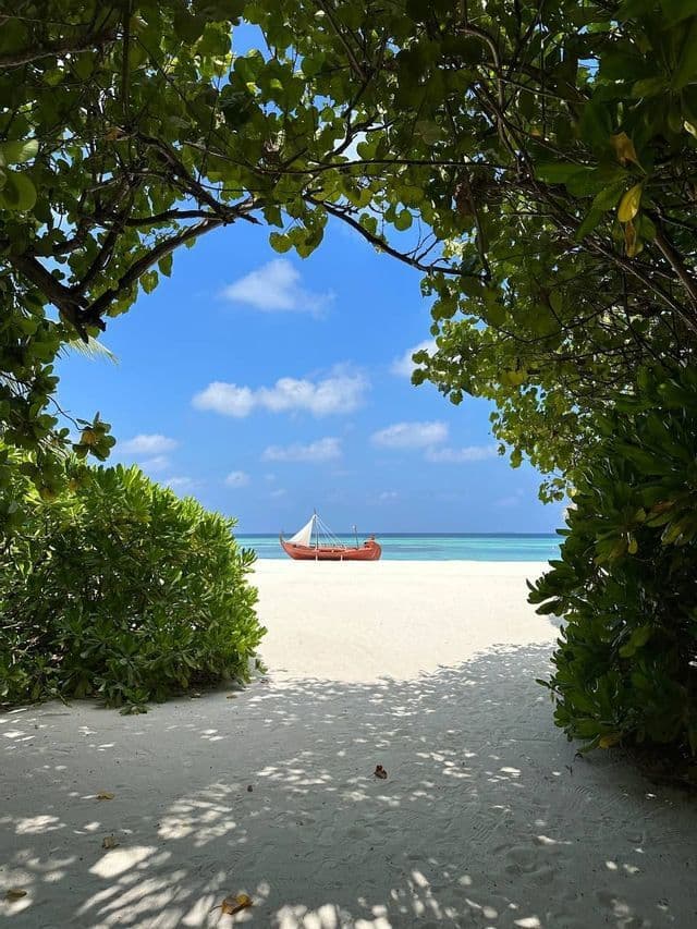 Una tradizionale barca di legno con una vela riposa su una spiaggia di sabbia bianca, incorniciata da una folta vegetazione verde, con acqua turchese sullo sfondo.