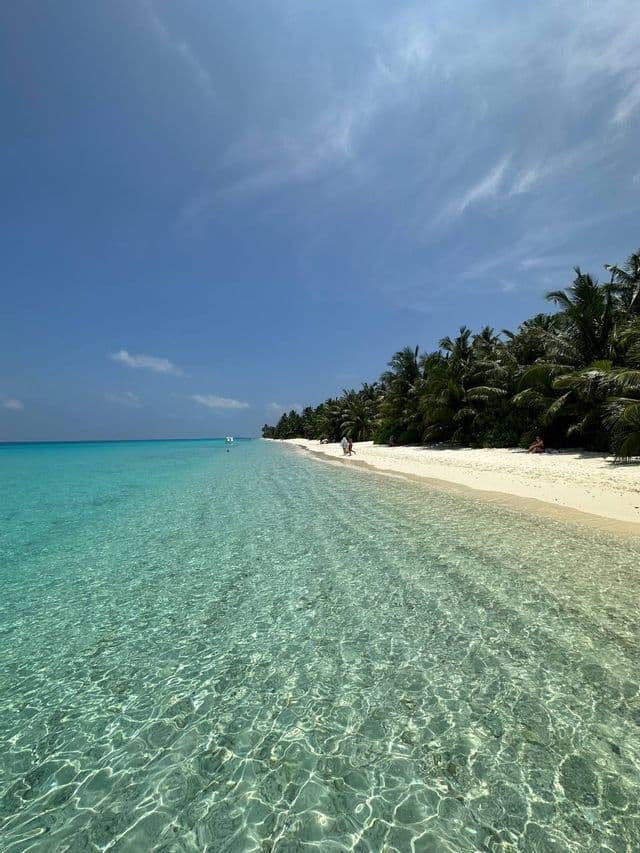 Klares türkisfarbenes Wasser plätschert an einen weißen Sandstrand, der von grünen Palmen gesäumt ist, unter einem leuchtend blauen Himmel mit leichten Wolken.