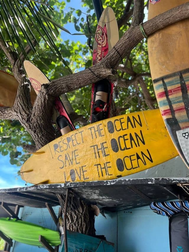 Una tavola da surf gialla con il messaggio 'Rispetta, Salva, Ama l'Oceano' è esposta su un albero insieme ad altra attrezzatura da surf.