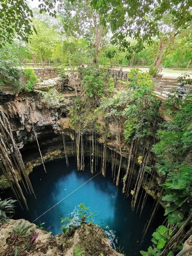 Una veduta dall'alto di un cenote nella giungla con acqua blu profonda, con lunghe liane che pendono dalle scogliere rocciose.