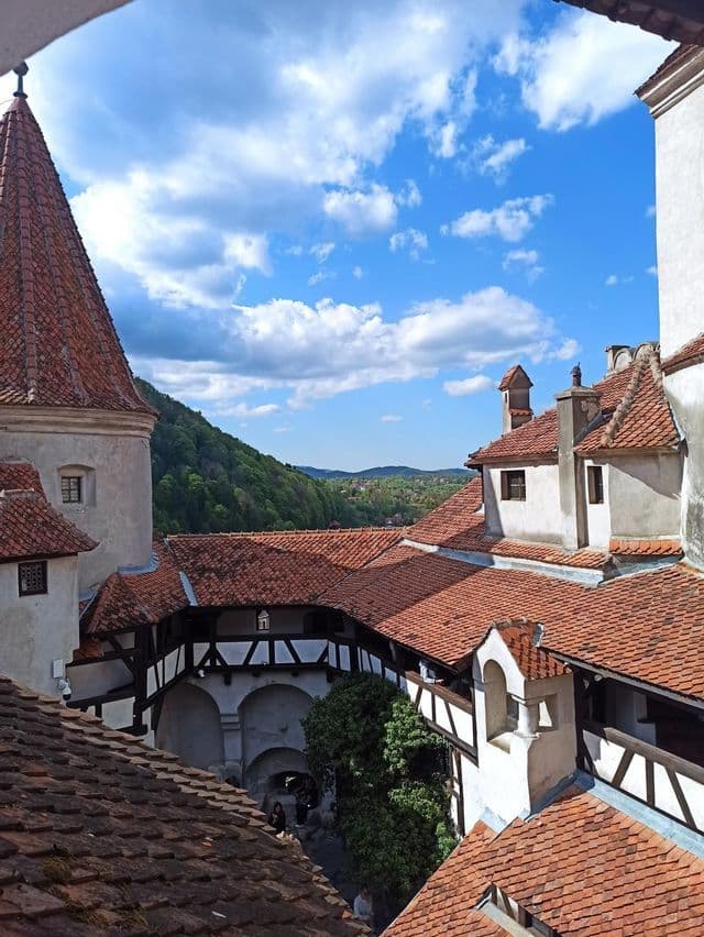 Ein Blick von oben auf den Burghof einer mittelalterlichen Burg, die rote Ziegeldächer, weiße Mauern und einen fernen bewaldeten Hügel unter blauem Himmel zeigt.
