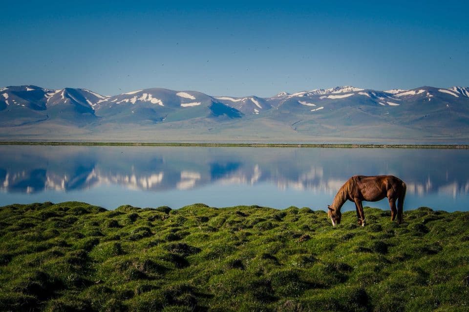 Un caballo marrón pastando en una colina verde junto a un lago que refleja montañas nevadas bajo un cielo azul claro.