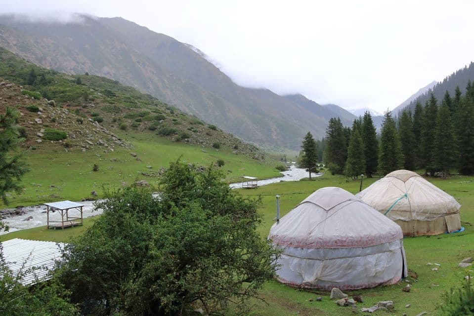 Two traditional yurts stand on a green meadow in a mountain valley, with a river and pine trees in the background.