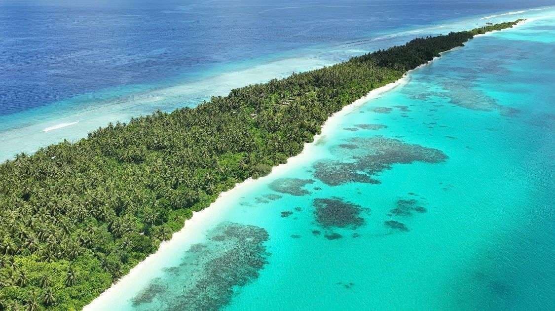 Vista aérea de una isla tropical alargada cubierta por un denso palmeral, rodeada de una playa de arena blanca y agua turquesa con un arrecife de coral.