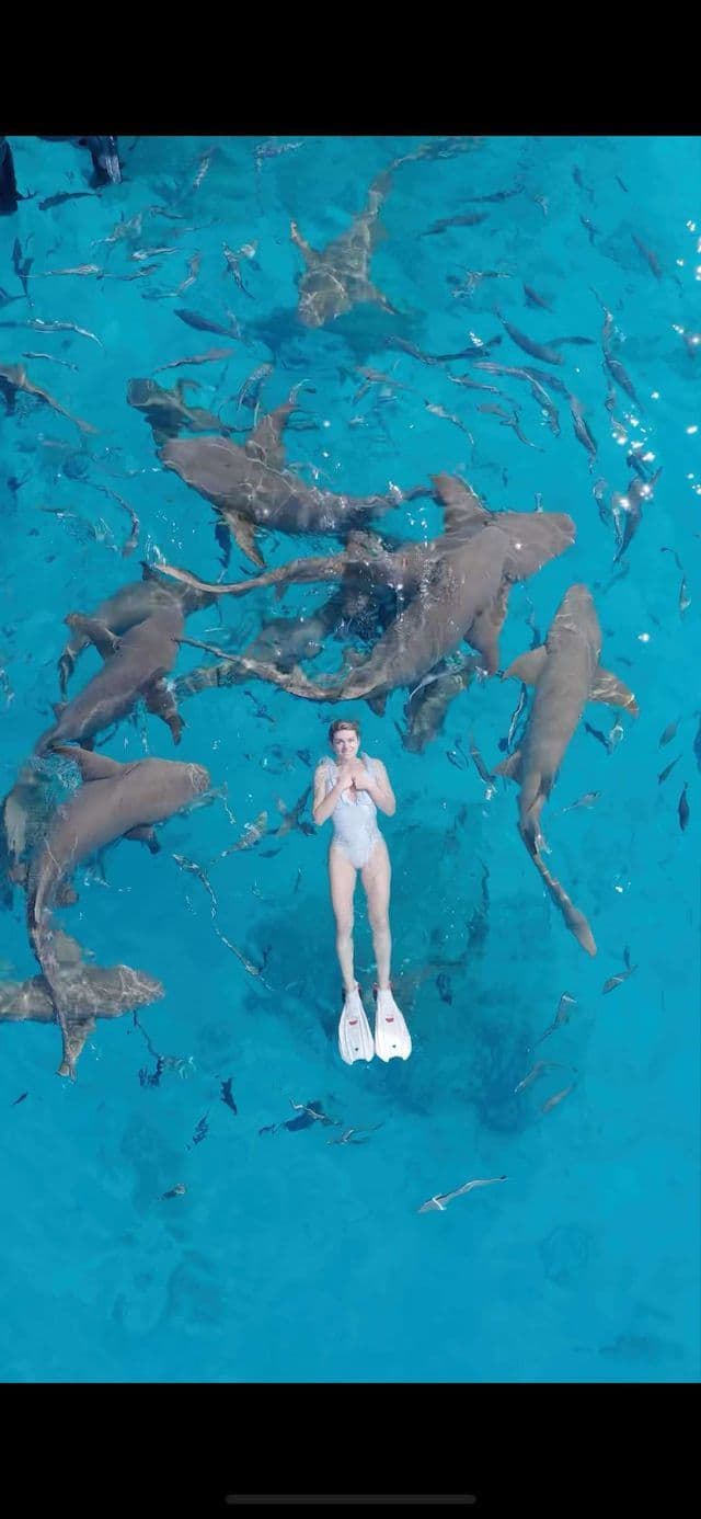 Vista aérea de una mujer en traje de baño y aletas flotando en agua turquesa cristalina rodeada de numerosos tiburones