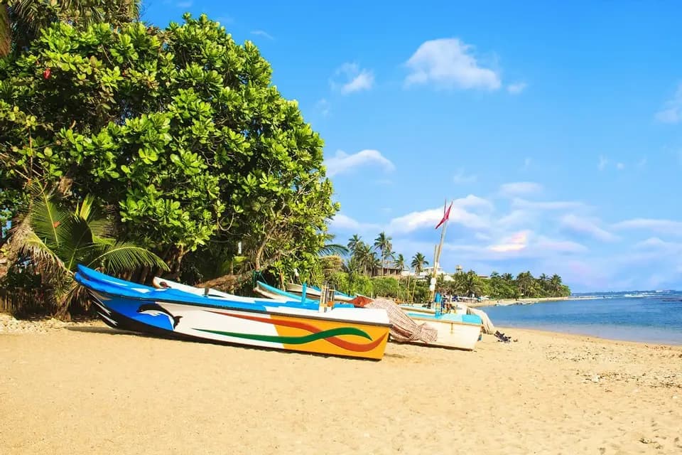 Dos coloridos barcos de pesca descansan en una playa tropical de arena junto a un gran árbol verde, bajo un cielo azul claro.