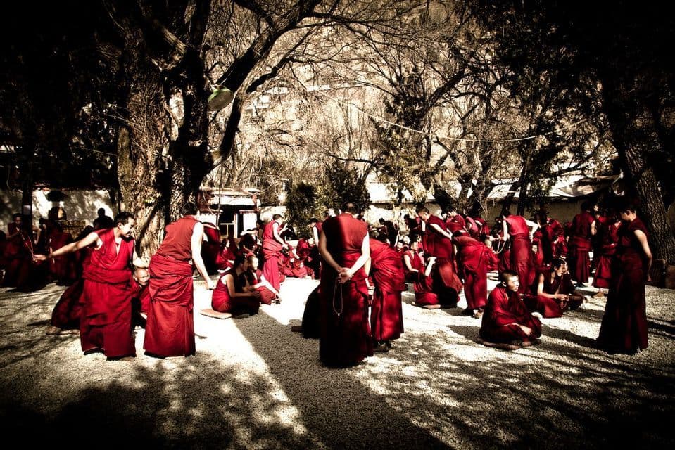 Un numeroso grupo de monjes con túnicas rojas brillantes se congrega en un patio de grava bajo la sombra moteada de grandes árboles.