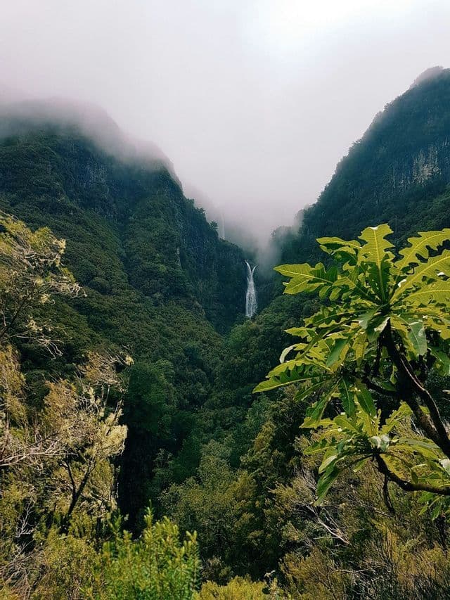 Una cascata lontana scende da una parete rocciosa in una valle di montagna lussureggiante e verde avvolta nella nebbia.
