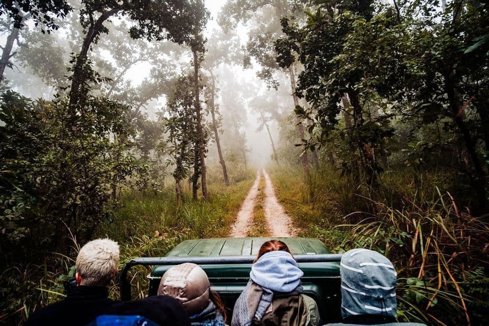 A WeRoad group trip rides in an open-top vehicle down a dirt road through a foggy, dense forest.