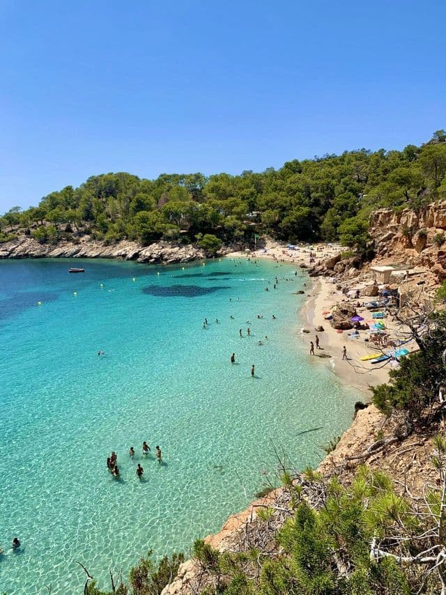 Una vista dall'alto di una cala con una spiaggia sabbiosa, dove le persone nuotano nelle acque limpide e turchesi sotto un cielo azzurro brillante.