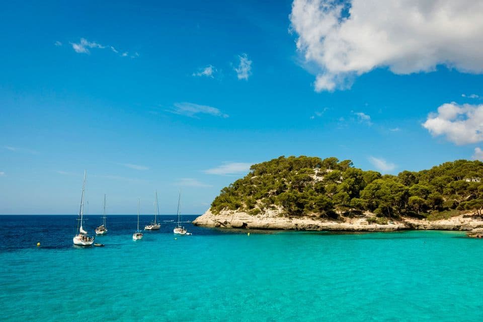 Diverse barche a vela sono ormeggiate in una baia con acqua turchese accanto a una scogliera rocciosa ricoperta di alberi sotto un cielo blu.