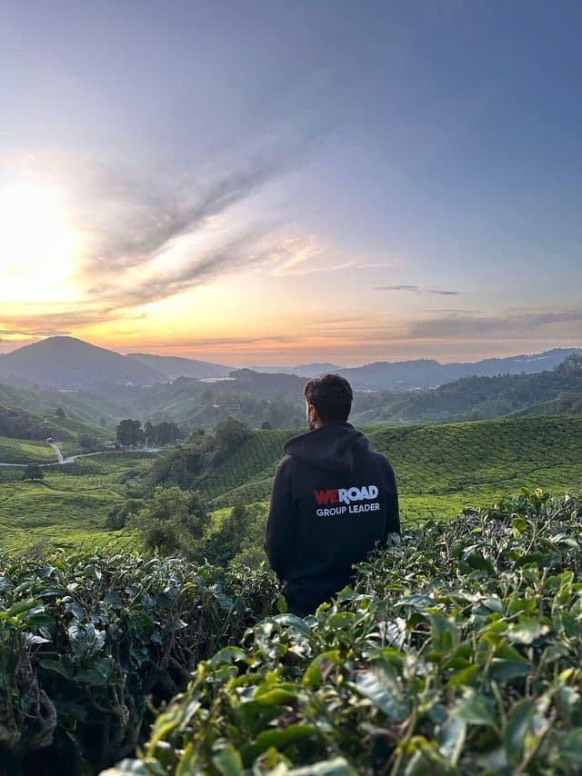 Una guida WeRoad con felpa nera ammira le sinuose piantagioni di tè verdi al tramonto.
