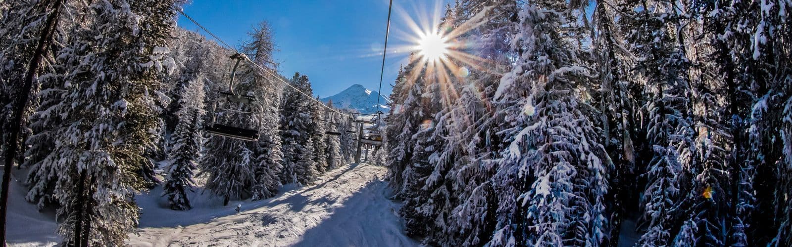 Una vista da una seggiovia che sale su una montagna attraverso una foresta di pini coperti di neve in una giornata limpida e soleggiata.