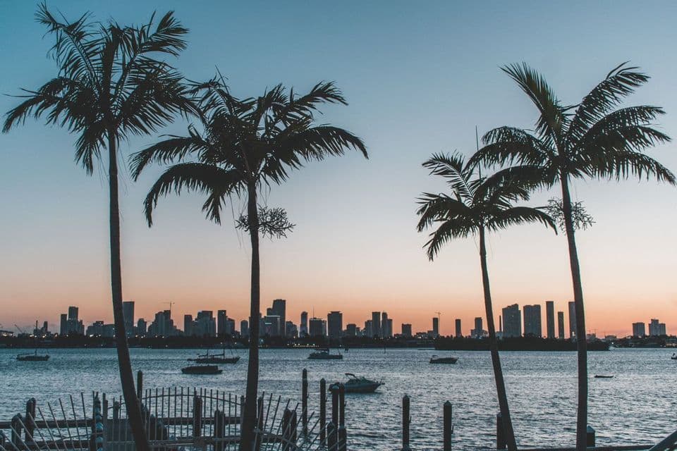 Silhouetted palm trees frame a city skyline across a body of water with several boats during sunset.
