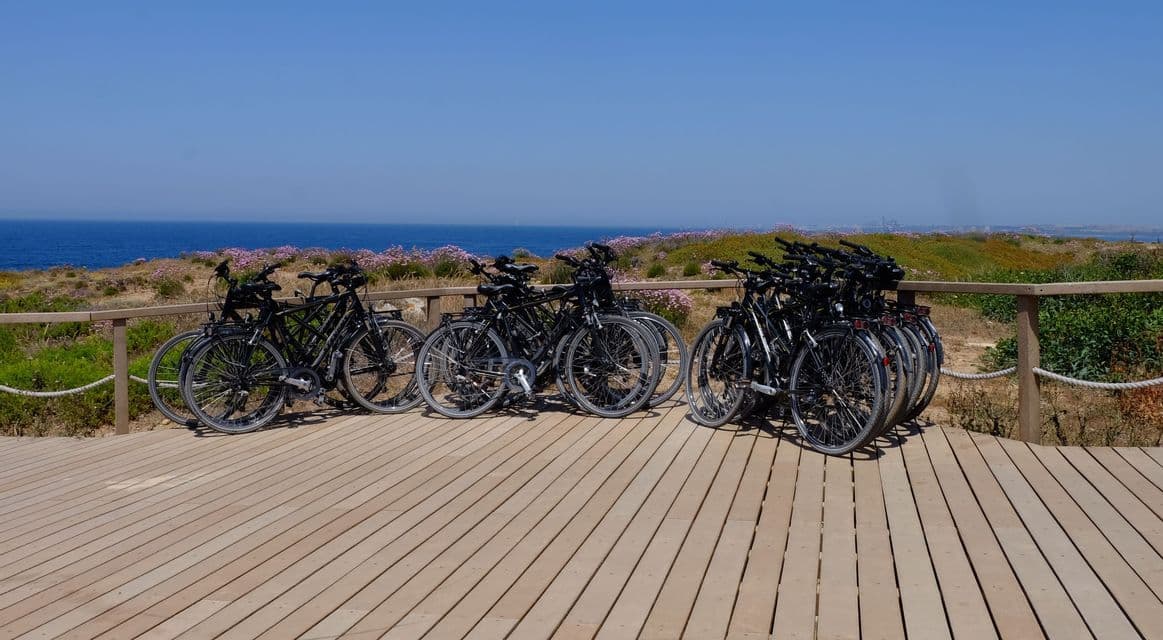 Diverse biciclette nere sono parcheggiate su una passerella di legno con vista su un litorale fiorito di viola e il mare.