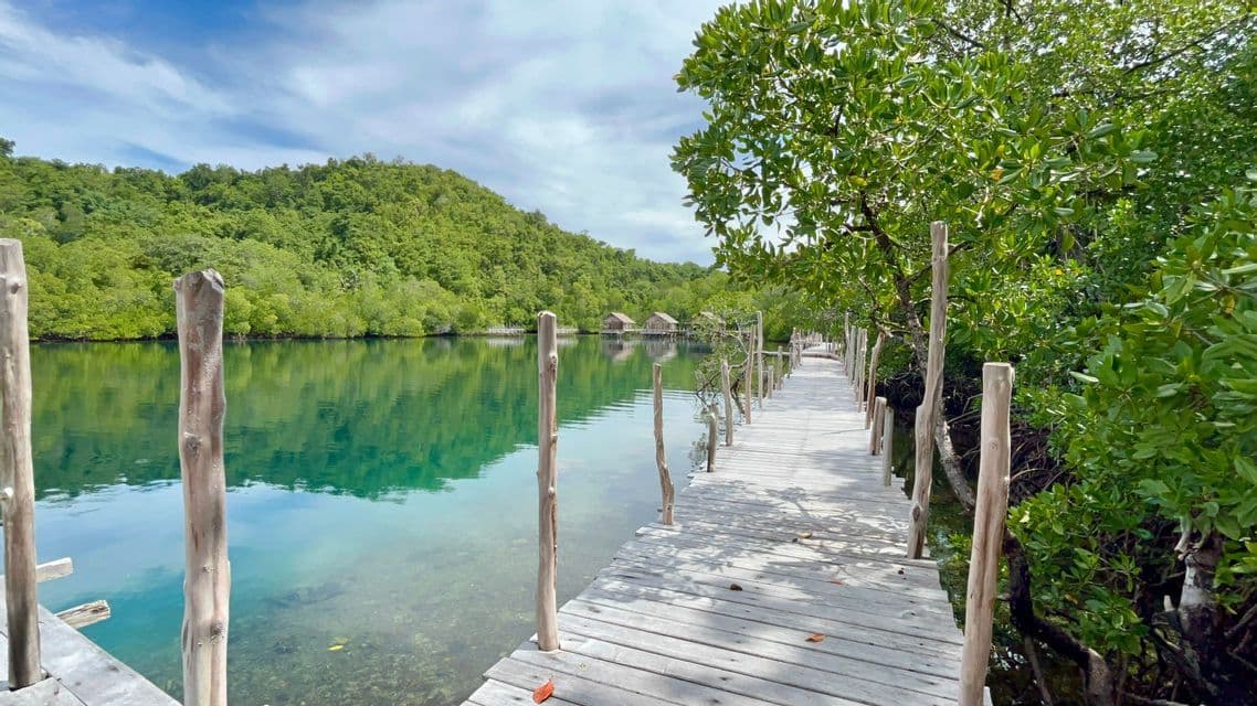 Un malecón de madera sobre agua cristalina turquesa discurre junto a un exuberante bosque de manglares con una colina verde al fondo.