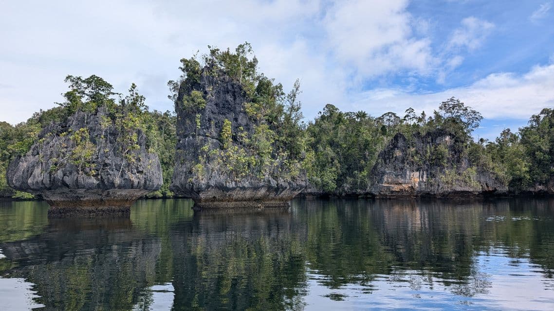Formaciones rocosas cubiertas de árboles, con forma de hongo, se alzan en aguas tranquilas, sus reflejos visibles en la superficie bajo un cielo parcialmente nublado.
