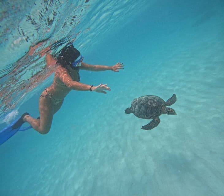 Una donna con maschera da snorkeling e pinne nuota sott'acqua vicino a una tartaruga marina in acque limpide e blu.