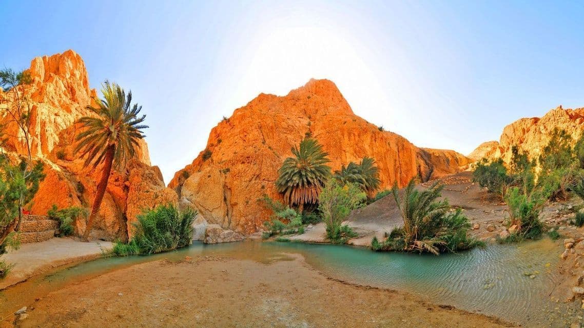 Un oasis desértico con un arroyo turquesa, palmeras y vegetación verde anidado entre formaciones rocosas naranjas bañadas por el sol.