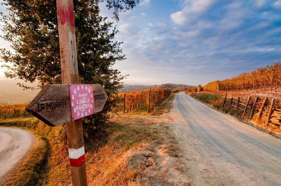 Un cartello in legno su una strada sterrata indica La Morra e Barolo, circondato da vigneti autunnali al tramonto.