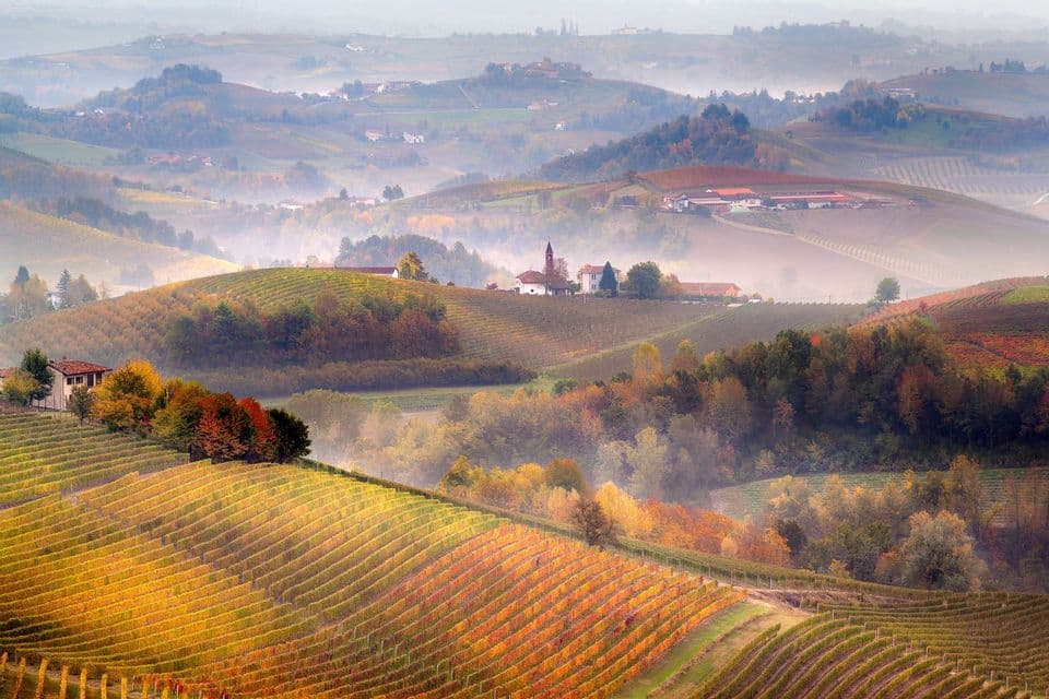 Colline ondulate con filari di vigneti, fogliame autunnale colorato, piccoli borghi e nebbia nelle valli.
