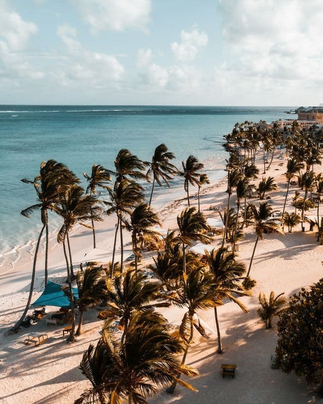 An aerial view of a sandy beach with tall palm trees swaying in the wind beside a turquoise ocean under a partly cloudy sky.