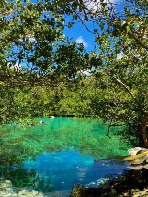 A WeRoad group trip swimming in a clear turquoise natural pool surrounded by lush green trees under a blue sky.