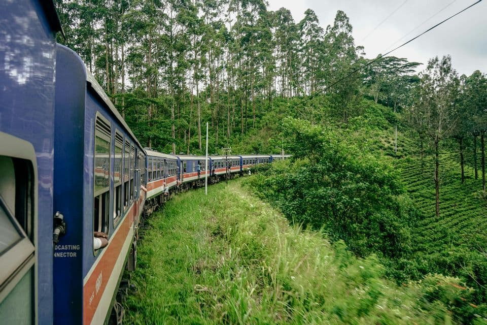 Un treno blu e rosso curva lungo un binario attraverso un paesaggio verde lussureggiante con piantagioni di tè e alberi alti sotto un cielo coperto.