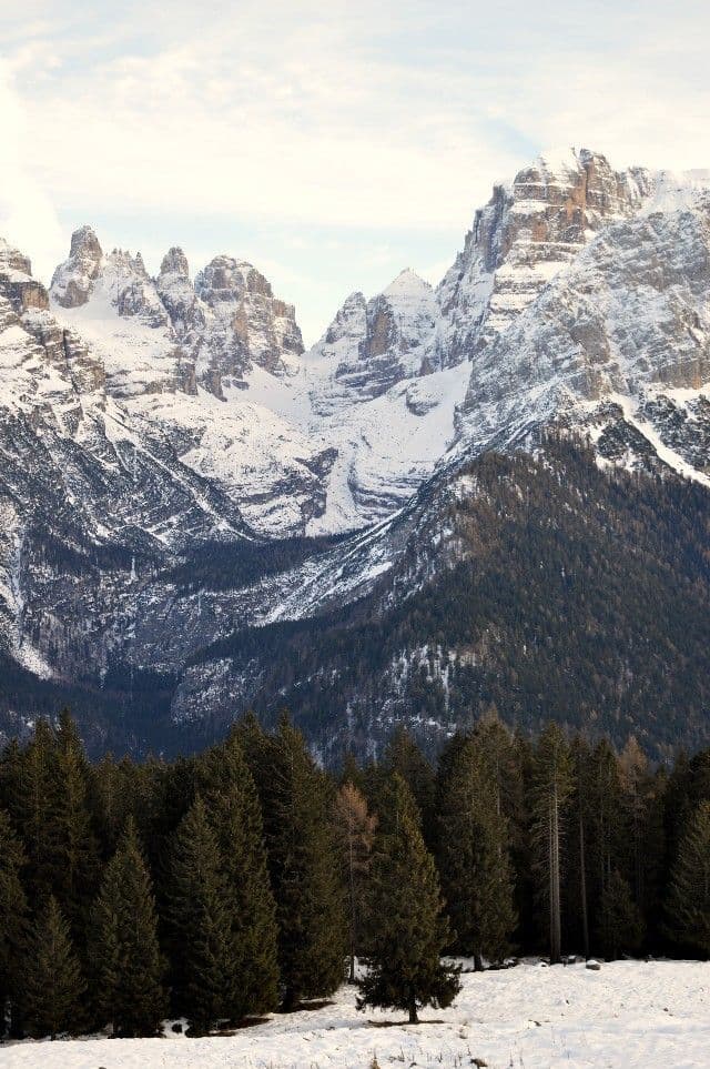 Jagged mountain peaks covered in snow rise above a dense pine forest under a cloudy sky.