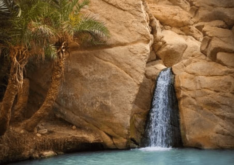 Una cascada desciende por la pared rocosa de un cañón hasta una poza turquesa, con palmeras creciendo en la orilla.