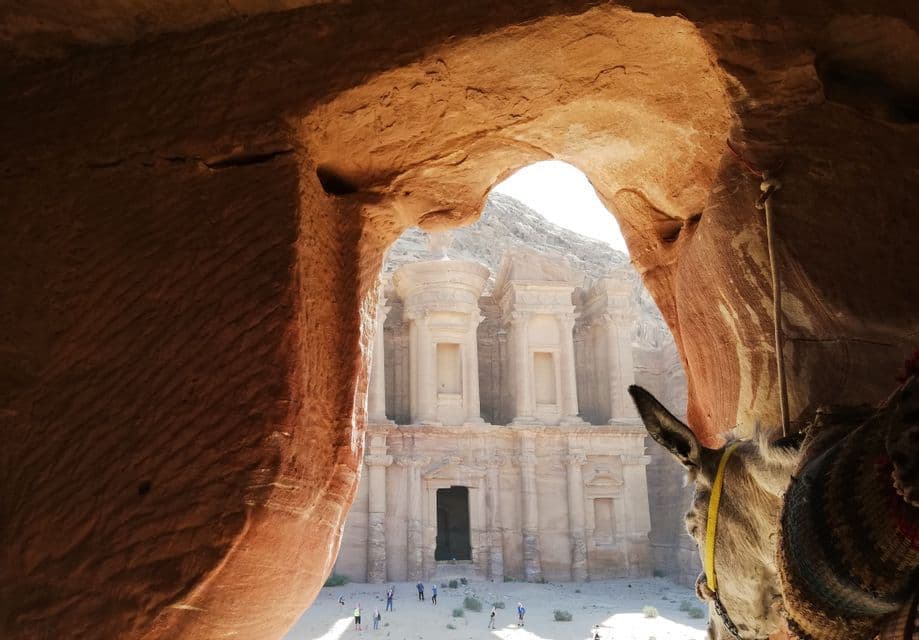 An ancient temple carved into a rock face, viewed from a cave with a donkey's head in the foreground.