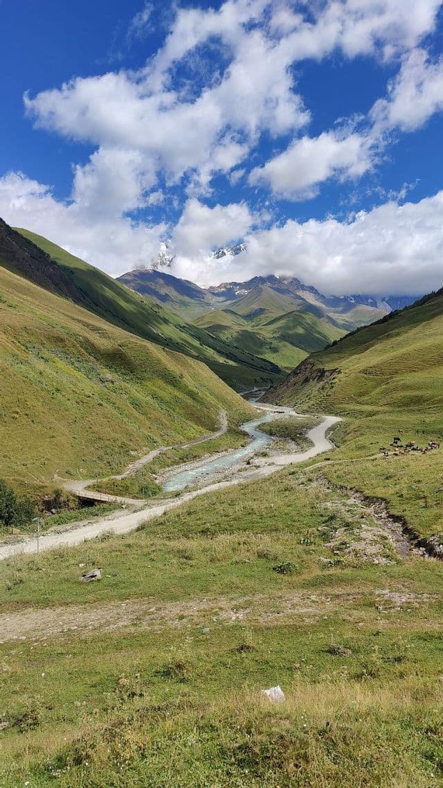 Un fiume e una strada sterrata si snodano attraverso una rigogliosa valle verde verso montagne innevate sotto un cielo parzialmente nuvoloso.