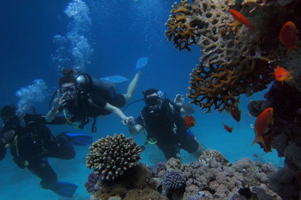 Un voyage de groupe WeRoad en plongée sous-marine, posant pour une photo près d'un récif corallien avec des poissons orange.