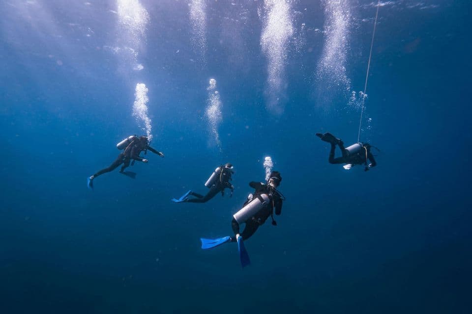 Un voyage de groupe WeRoad en plongée sous-marine profonde dans l'eau bleue, avec des bulles d'air remontant vers la surface baignée de soleil.