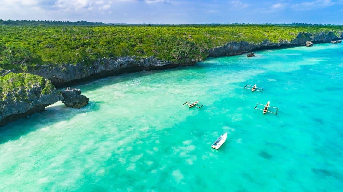 Una vista aérea de barcos tradicionales flotando en agua turquesa a lo largo de una costa rocosa cubierta de árboles verdes.