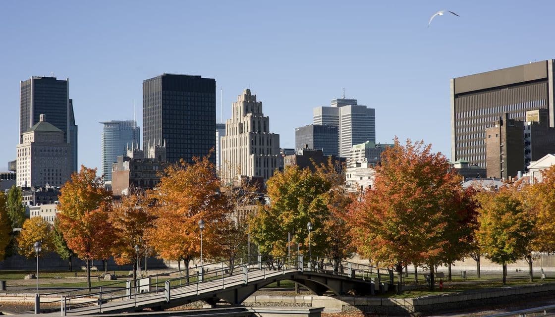 Downtown Montreal in autumn Downtown Montreal in autumn