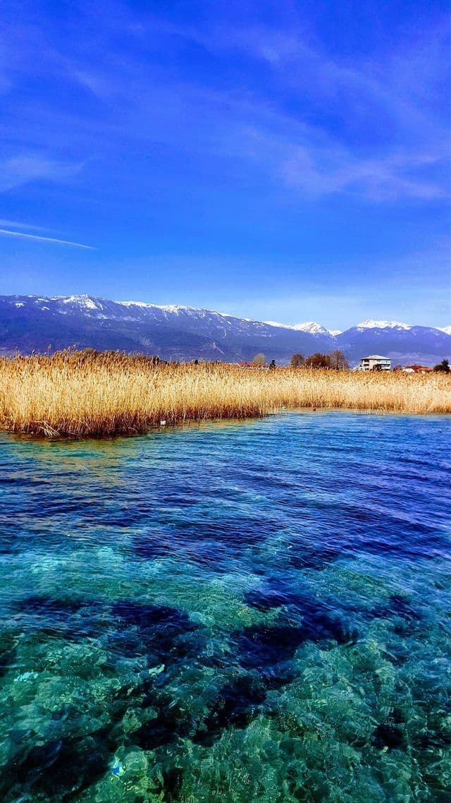 Acqua cristallina turchese del lago di fronte a una riva con canne dorate, con una catena montuosa innevata sullo sfondo.
