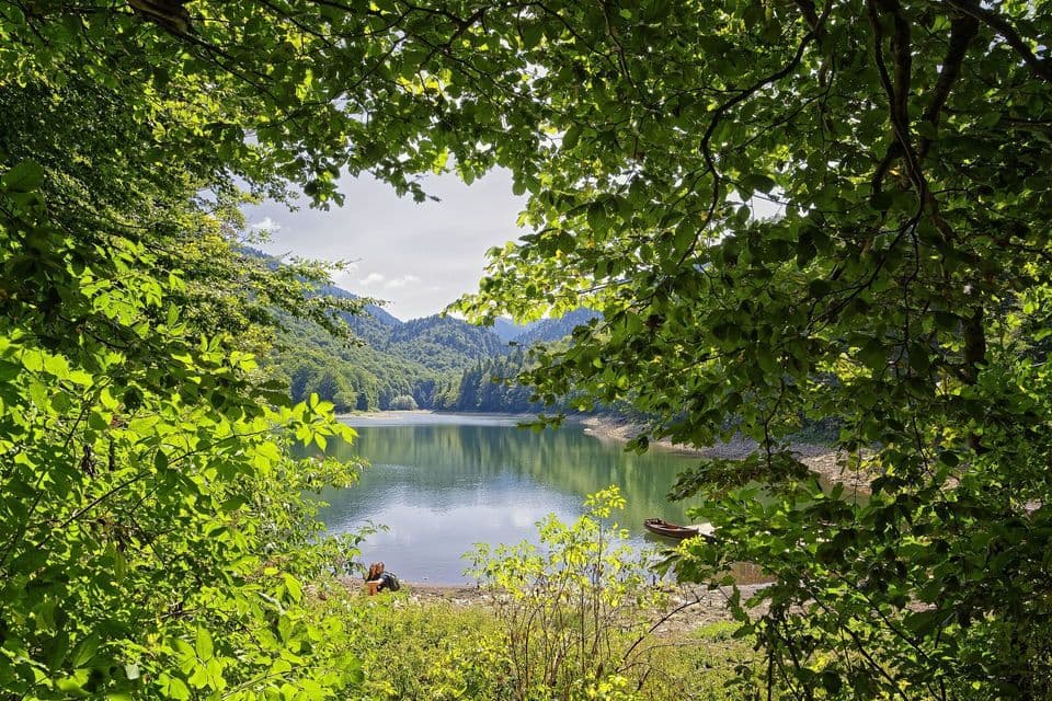 Un lago tranquillo e montagne boscose, incorniciati naturalmente da foglie verdi, con due persone sedute sulla riva.
