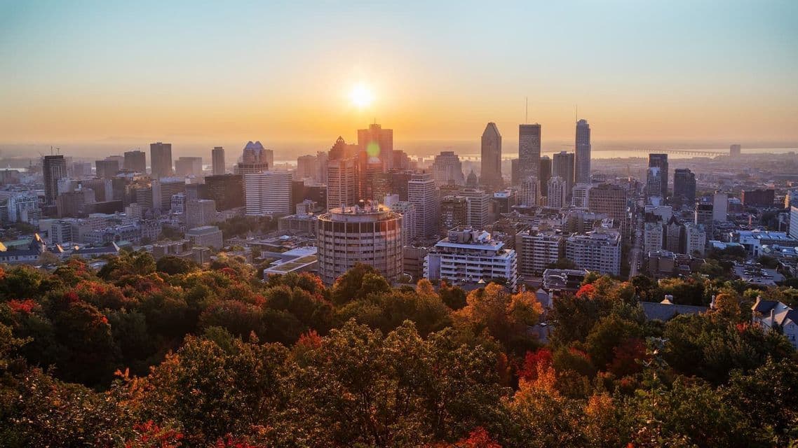 A sunrise over a cityscape with skyscrapers, with a dense forest of colorful autumn trees in the foreground.