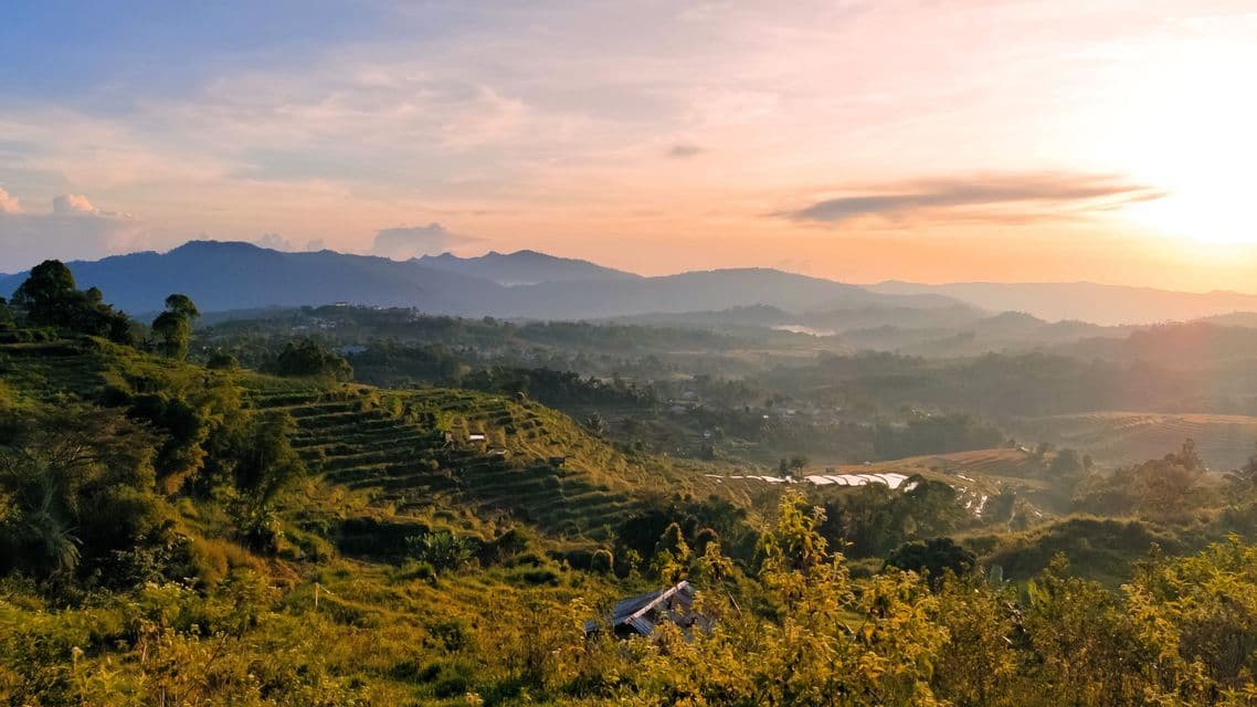 Ein Blick über grüne Terrassenhügel und ein nebliges Tal in Richtung ferner Berge bei Sonnenuntergang.