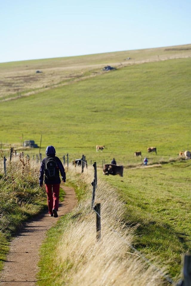 Une personne lors d'un voyage en groupe WeRoad fait de la randonnée sur un sentier de terre à côté d'un pâturage verdoyant où des vaches paissent sous un ciel clair.