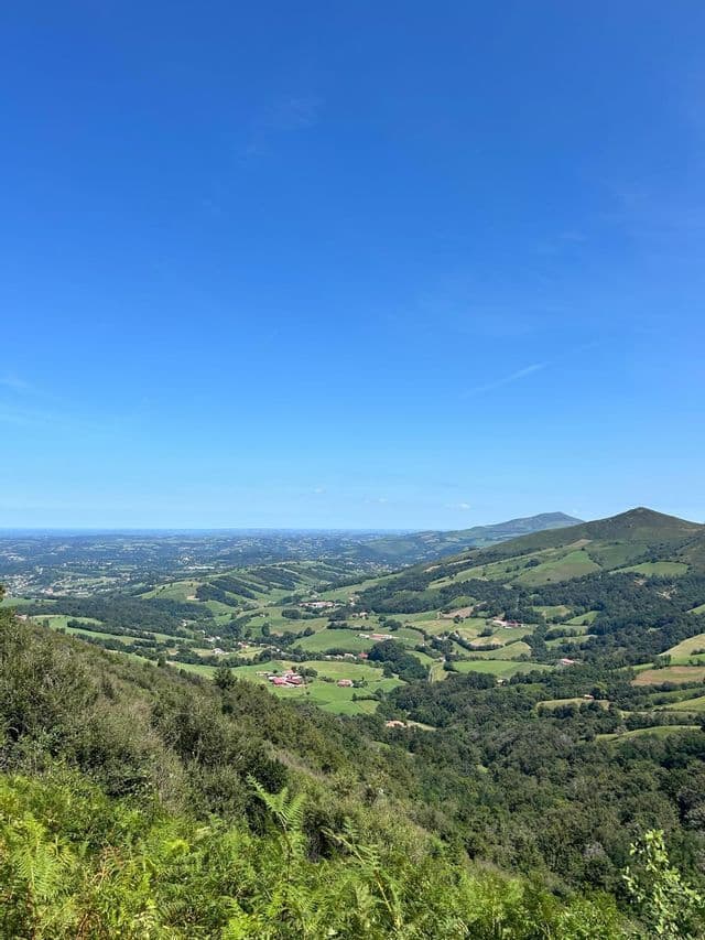 Vue plongeante sur une vaste vallée avec des collines verdoyantes, des forêts et des maisons éparses sous un ciel bleu clair.