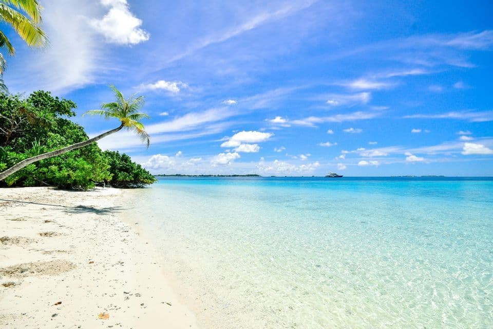 Eine Palme neigt sich über einen weißen Sandstrand an klarem türkisfarbenem Wasser unter blauem Himmel mit Wolken.