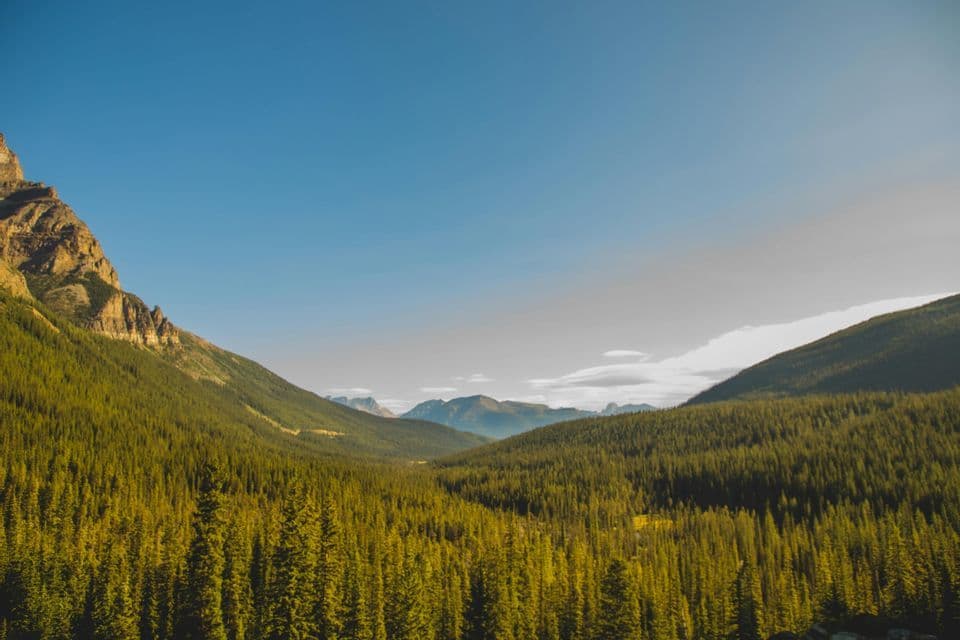 Une dense forêt de pins couvre le fond d'une vallée entre des montagnes ensoleillées sous un ciel bleu clair.
